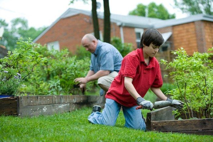 Father and son practicing sustainable gardening